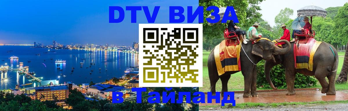 Оформление DTV визы под ключ: стоимость и тарифы, только загранпаспорт - 20.11.2025 